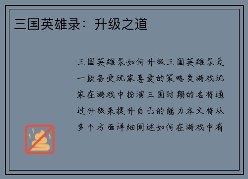 三国英雄录：升级之道